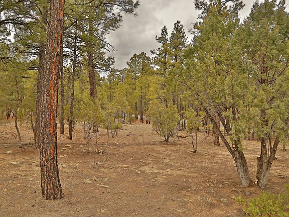 3rd image of 1450 S Tia Cir