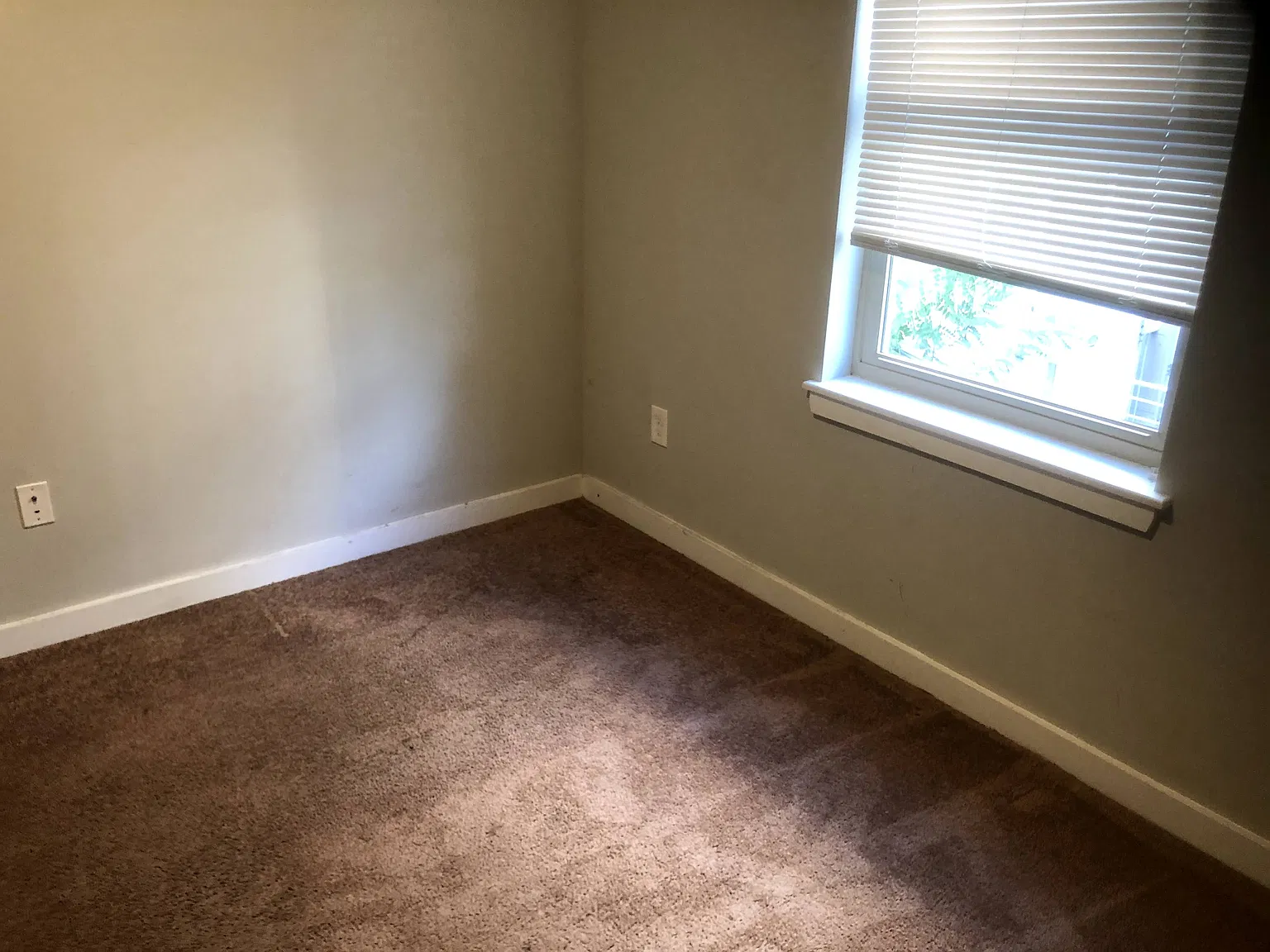 2201 North Mole Street — Photo 3