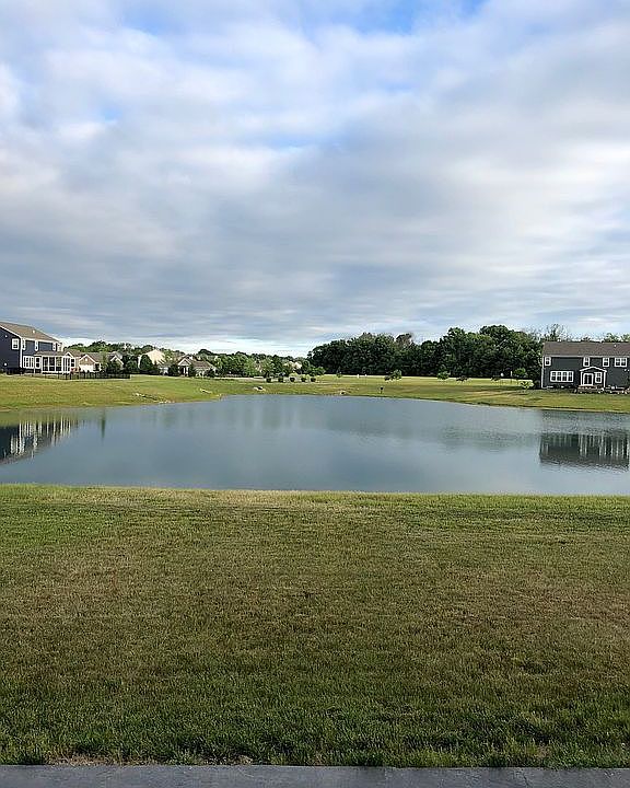 view of pond from back yard