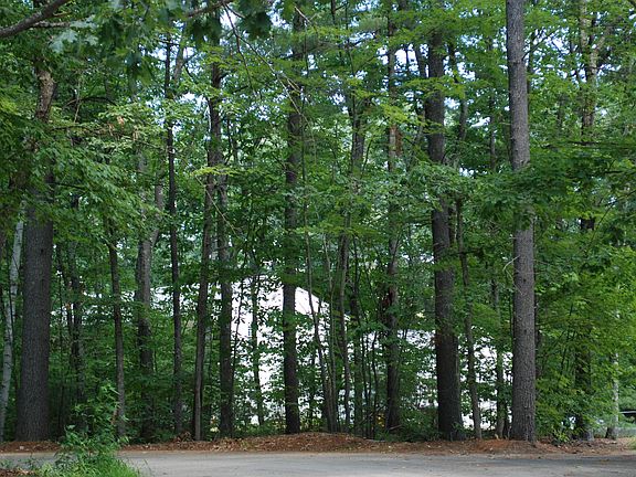 View from the Cul-de-Sac