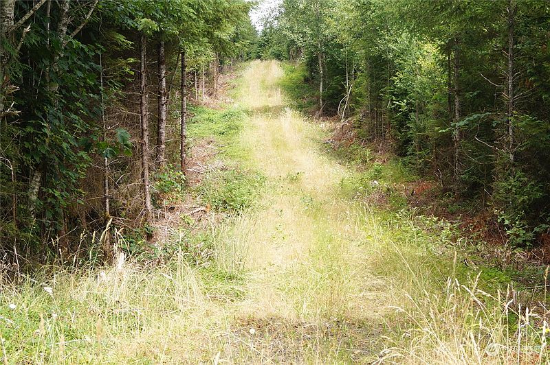 5th image of 0 Off of Wynooche Wishkah Road