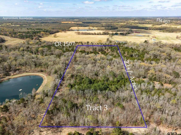 TRACT 3 Vz County Road 1507, Grand Saline, TX 75140