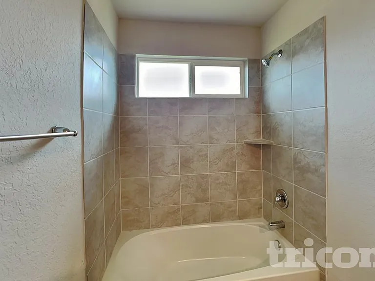 15406 Shortwing — Photo 8