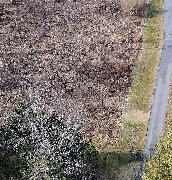 2nd image of LOT Elk Run Ln