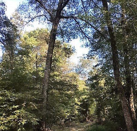 2nd image of Tbd Cr 2932