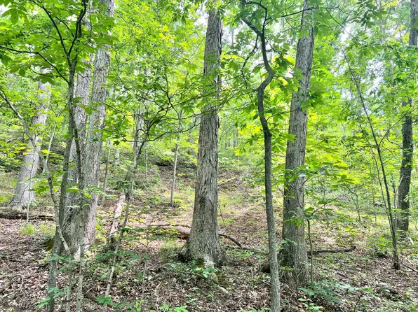0 Manilla Ridge Rd, Leon, WV 25123