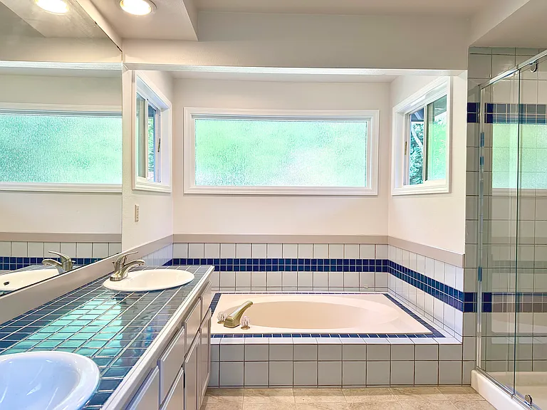 Master bathroom tub
