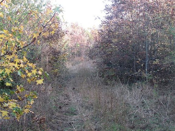 3rd image of 240 Blanks Ln