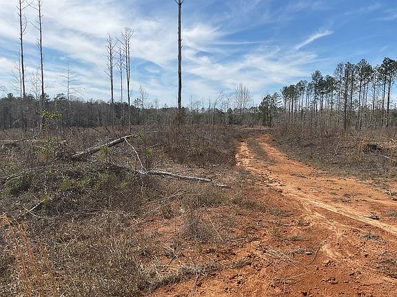 2nd image of 2500 Nixon Rd