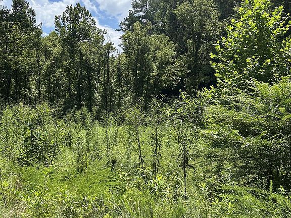 5th image of 1182 Tellico Reliance Rd