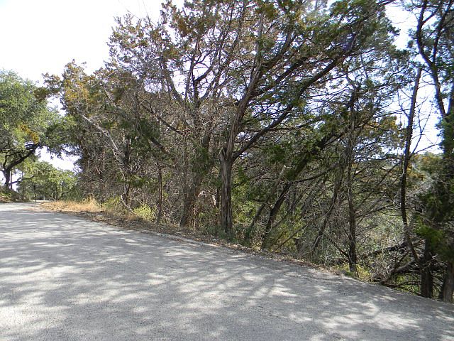 1st image of 1074 Olive Tree