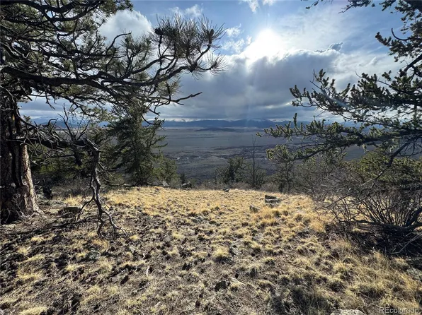 4513 Middle Fork Vista, Fairplay, CO 80440