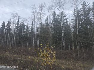 L3 B Brenden Blvd #1, Copper Center, AK 99573