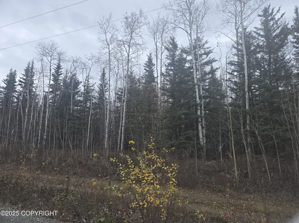 L3 B Brenden Blvd #1, Copper Center, AK 99573