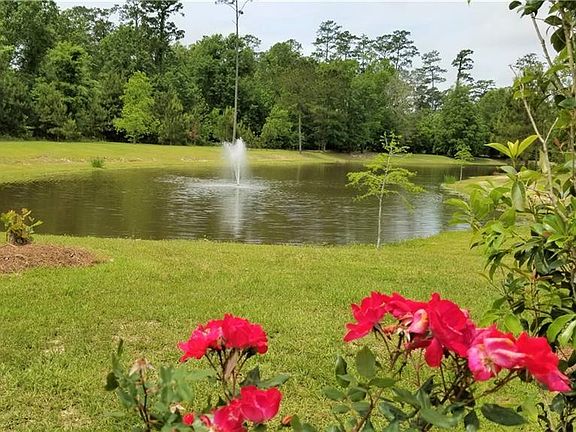 3rd image of 513 Belle Pointe Loop