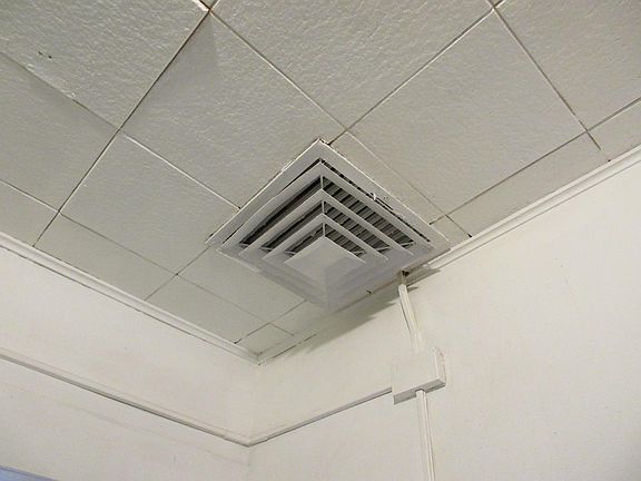 5th image of 830 Macon Ave #E