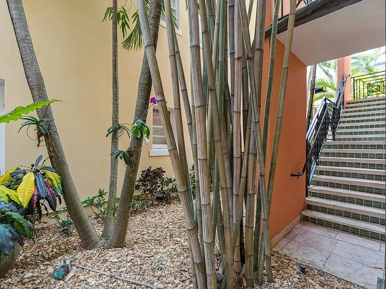4812 Pine Tree Dr #206 — Photo 2