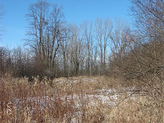 3rd image of 24 Mile Rd