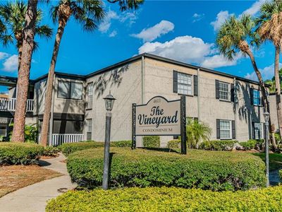 4611 W North B St APT 238, Tampa, FL, 33609