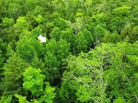 2nd image of County Road Np