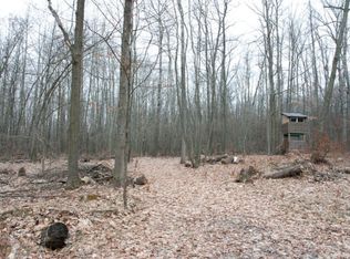 Backus Rd, Lakeview, MI 48850