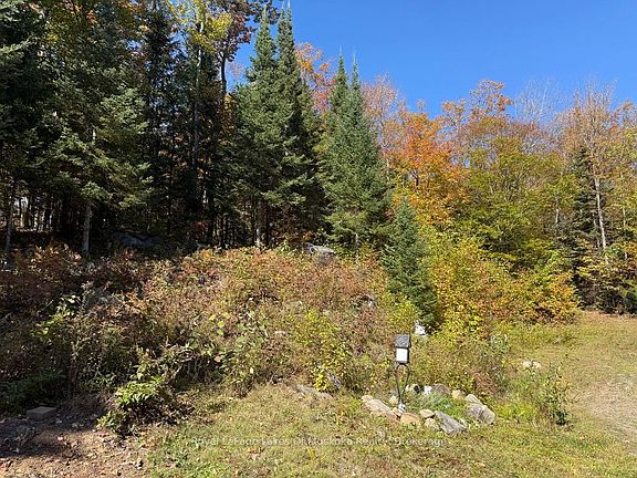 5th image of 1118 Stoney Rd