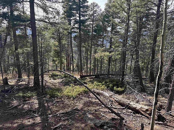 5th image of Lot 644 Panorama Way