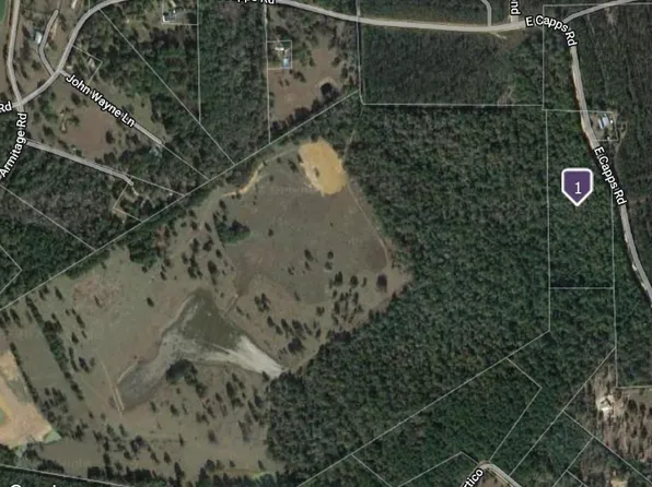 E Capps Rd, Livingston, TX 77351