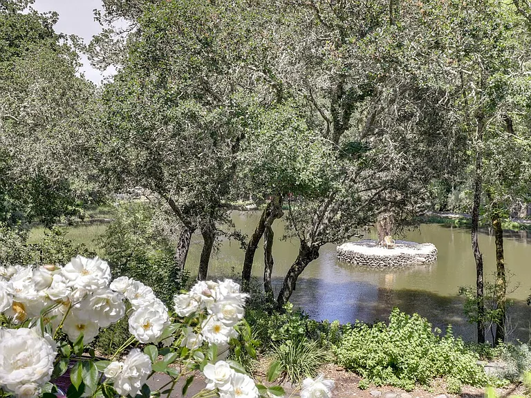 Window View