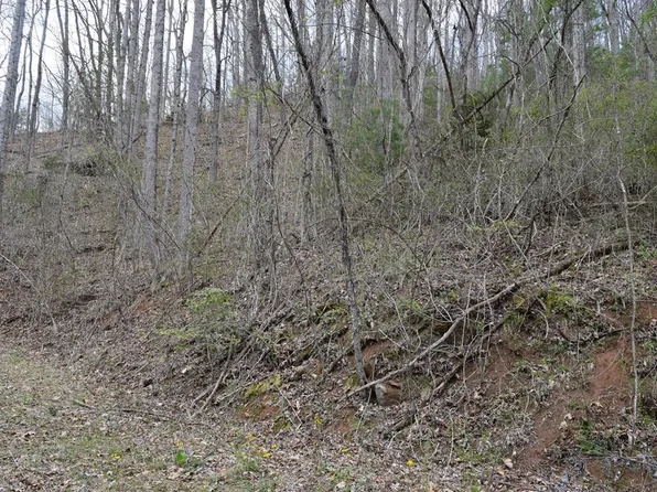 Bel Air Rd, Cullowhee, NC 28723