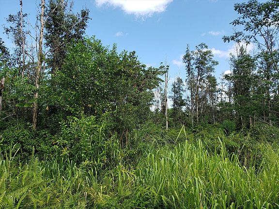 5th image of 38th Ave Lot 1