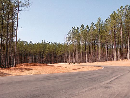 5th image of 238 Swicegood Farms Ln