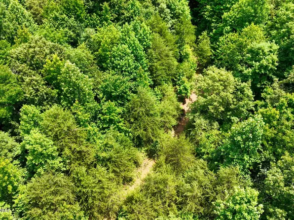 2 Ditney Hill Rd, Drakesboro, KY 42337