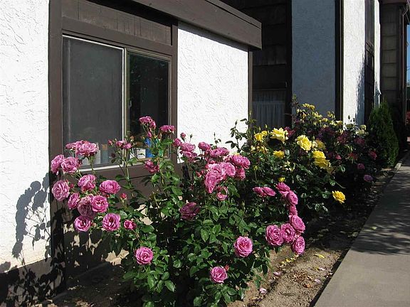 3rd image of 1048 Lakeside Dr