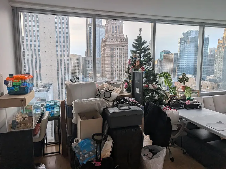8 E Randolph St #3101 — Photo 11