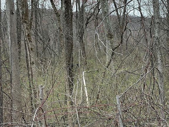 3rd image of Wells Road