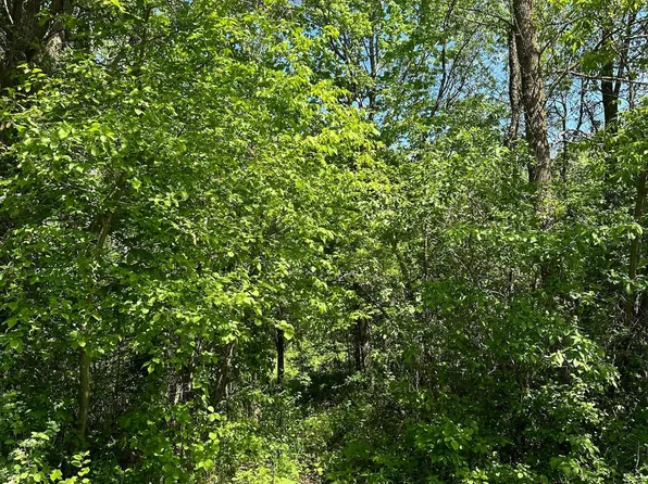 Tbd2 140th St, Amery, WI 54001