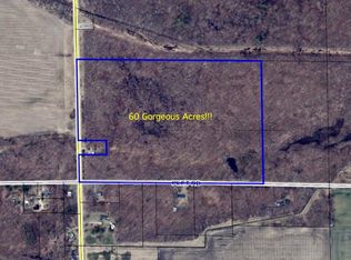 S Chapin Rd, Elsie, MI 48831