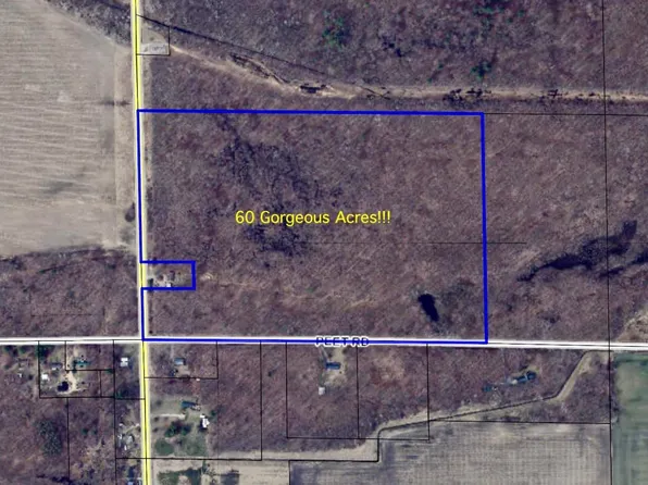 S Chapin Rd, Elsie, MI 48831