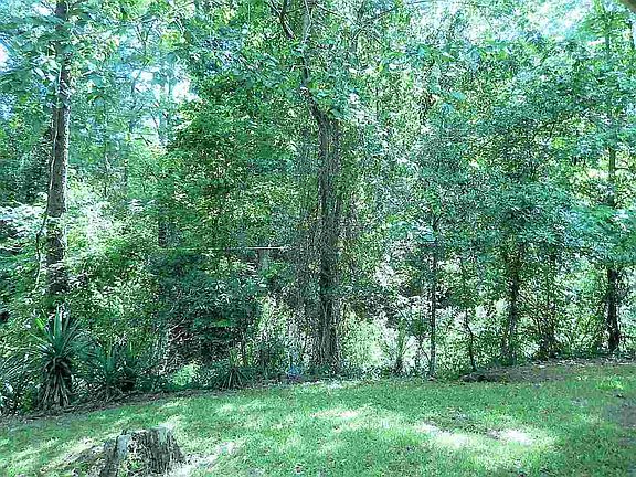 4th image of 733 Winding Hills Dr