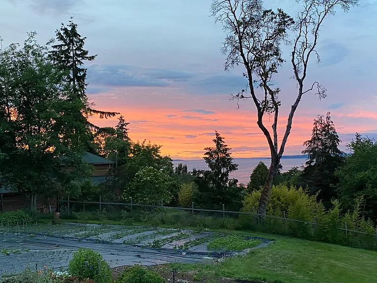 View off of the covered deck