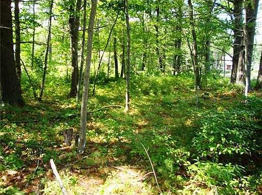 2nd image of 25 Tamarack Dr
