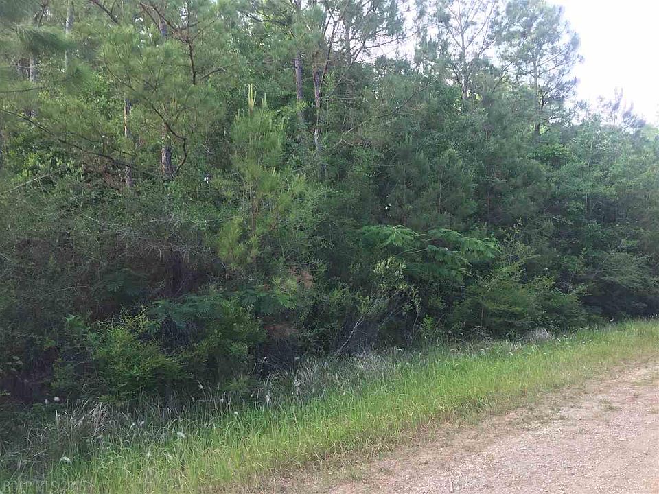 2nd image of 0 County Road 138