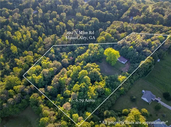 222 N Mize Rd, Mount Airy, GA 30563
