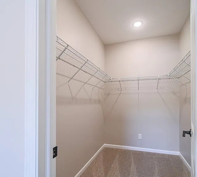 1210 Devils Glen Rd — Photo 16