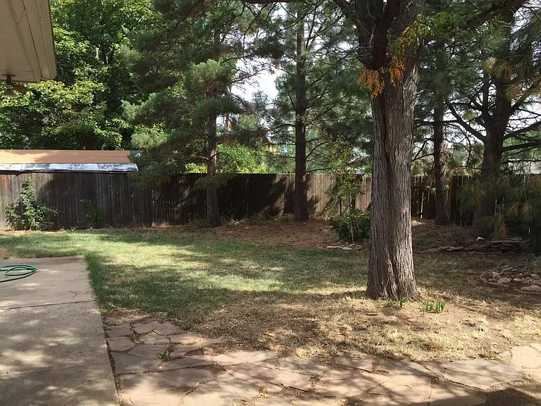 Back yard