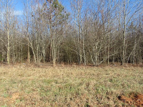 4th image of 0 Highway 100 N Tract 1