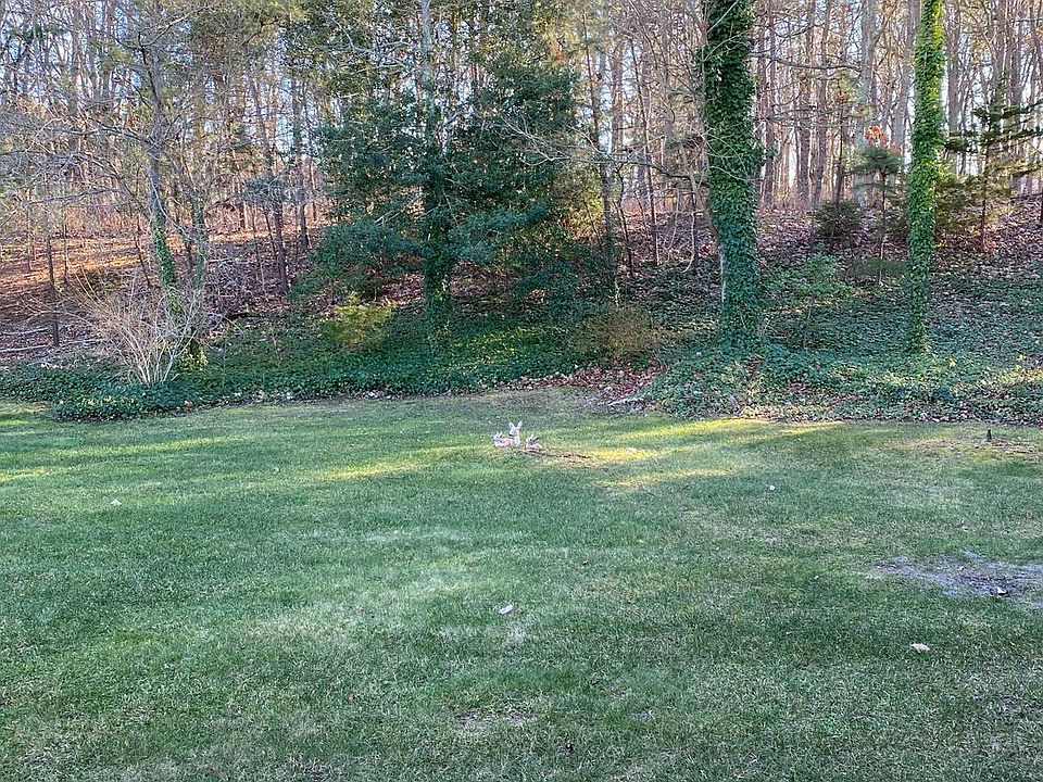 2nd image of 36 Buckingham Dr