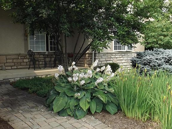 3rd image of 6200 McNaughten Grove Ln