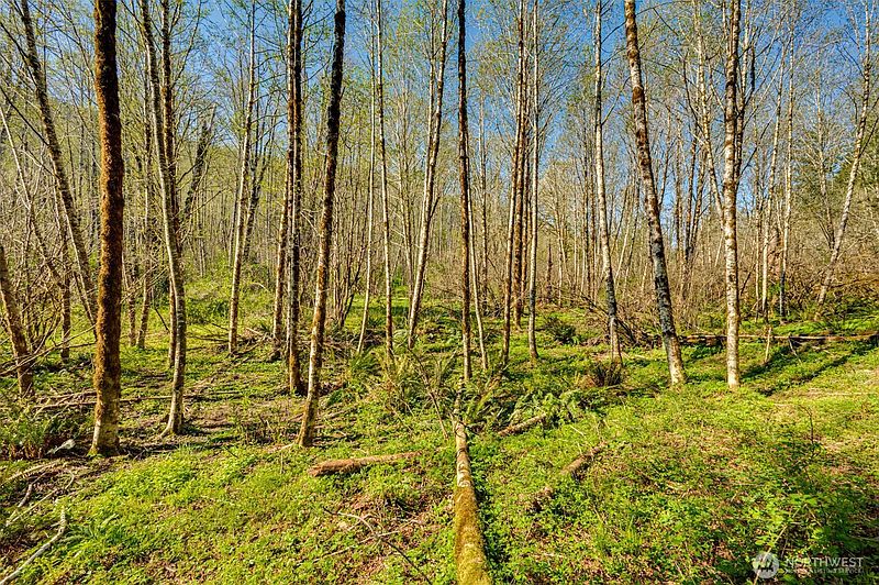 3rd image of 0 Buncombe Hollow Road NE